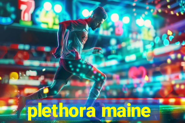 plethora maine