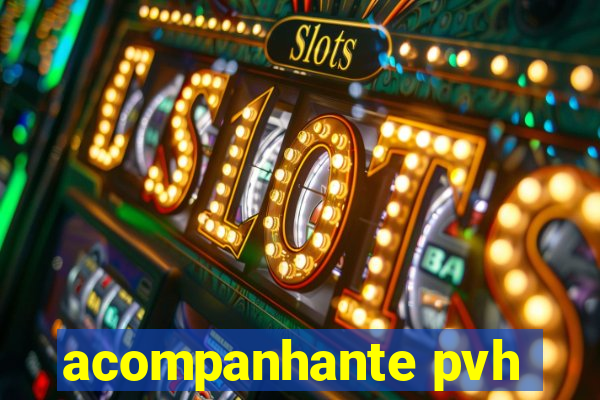 acompanhante pvh