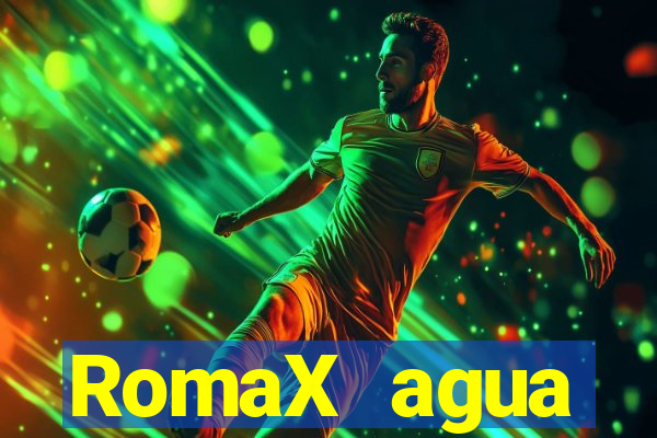 RomaX agua sanitaria fispq agua sanitaria romax