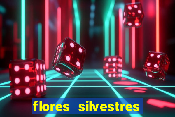 flores silvestres desbravadores desbravadores 25