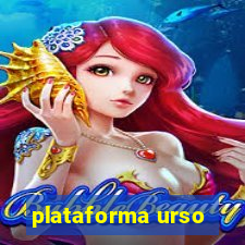 plataforma urso