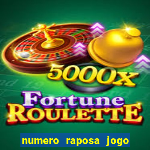 numero raposa jogo do bicho