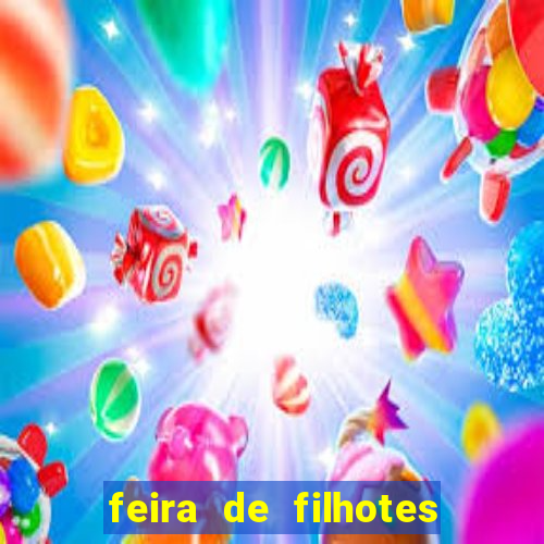 feira de filhotes porto alegre