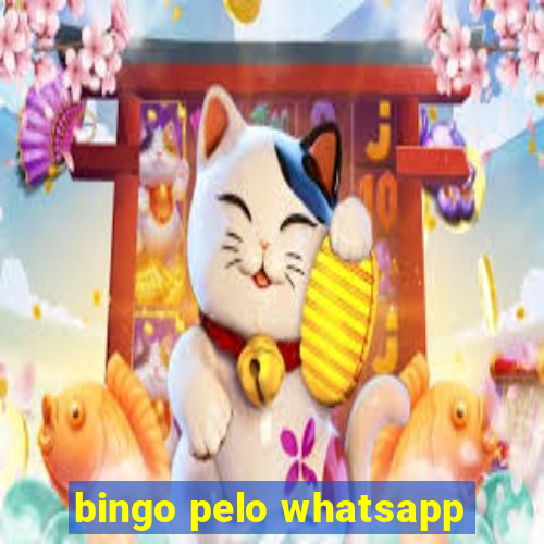 bingo pelo whatsapp