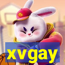 xvgay