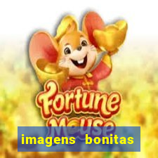 imagens bonitas para perfil