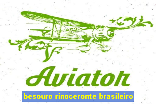 besouro rinoceronte brasileiro