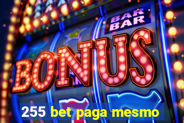 255 bet paga mesmo