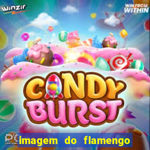 imagem do flamengo para perfil